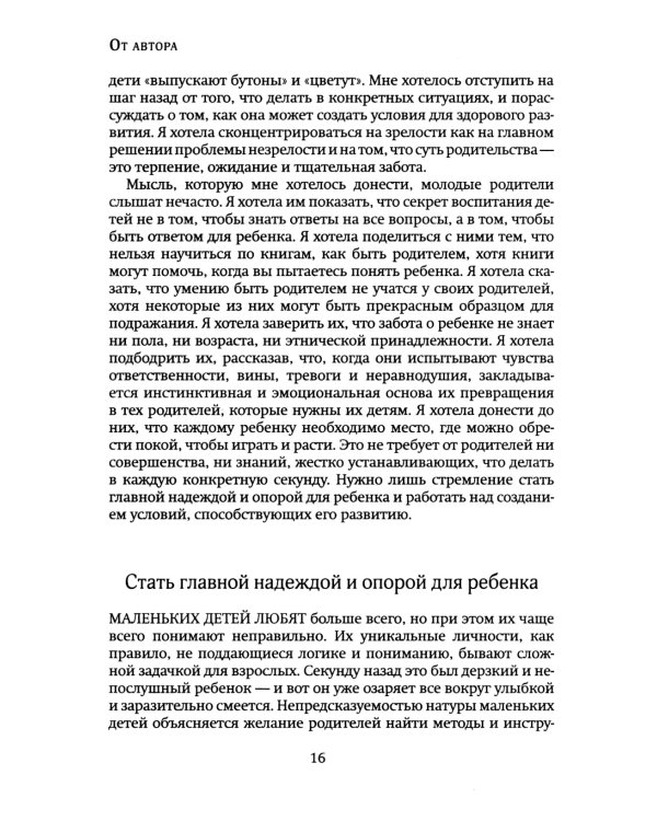 Покой, игра, развитие. Как взрослые растят маленьких детей, а маленькие дети растят взрослых