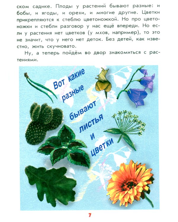 Настоящая ботаника для мальчиков и девочек