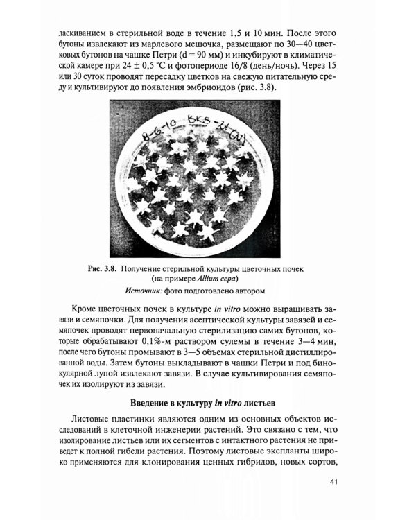 Культура тканей и клеток растений: Учебник