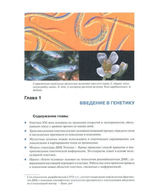Основы генетики. 10-е изд., доп