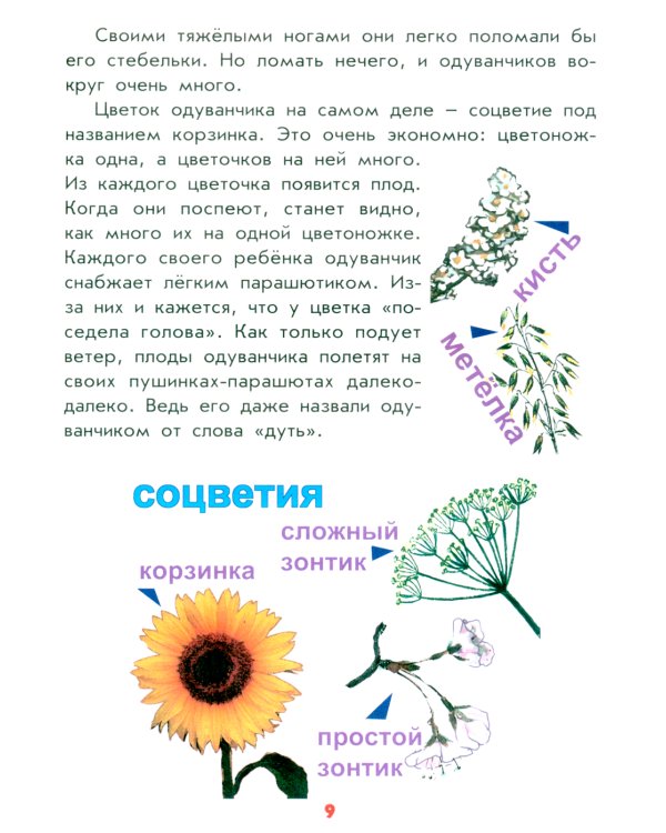 Настоящая ботаника для мальчиков и девочек