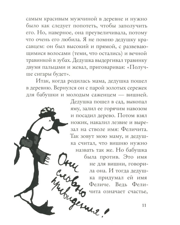 Мой дедушка был вишней