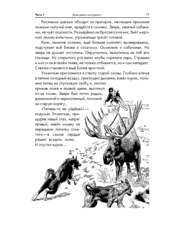 Последний костер: повесть