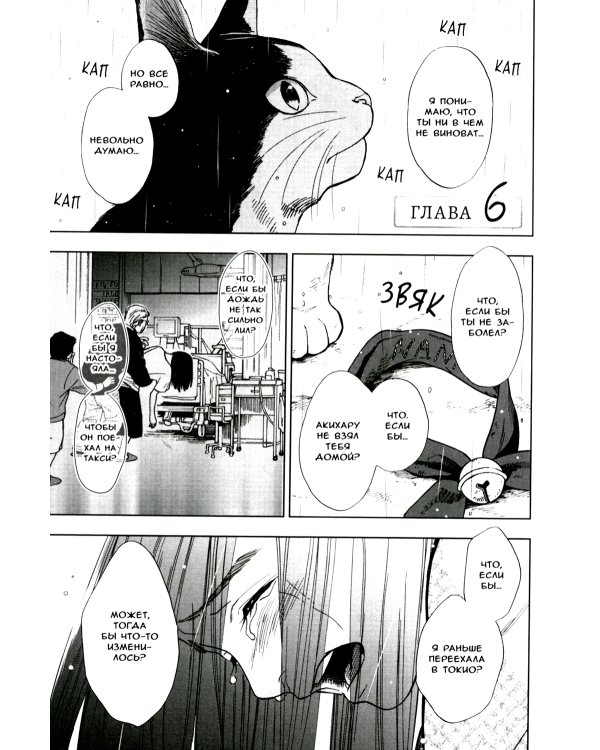 Жизнь бродячего кота. Т. 2