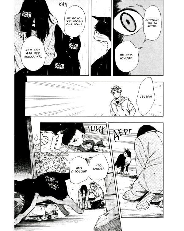 Жизнь бродячего кота. Т. 2