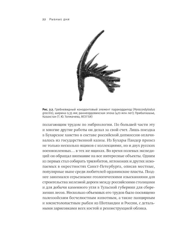 Как живые: Двуногие змеи, акулы-зомби и другие исчезнувшие животные