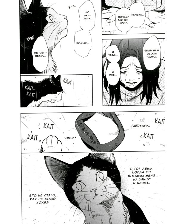 Жизнь бродячего кота. Т. 2
