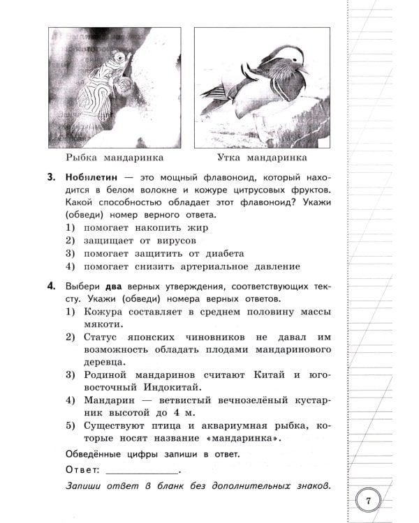 ВПР 4 кл. Русский язык, Математика, Окружающий мир. Читательская грам.10 вар. (комплект из 4-х книг)