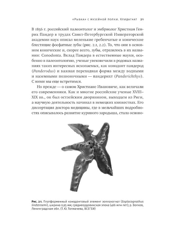 Как живые: Двуногие змеи, акулы-зомби и другие исчезнувшие животные