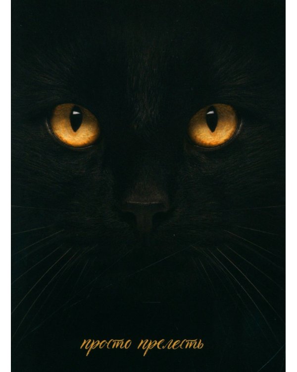 Восхитительная ведьма; Влюбленная ведьма + мерч-открытка (комплект из 2-х книг)