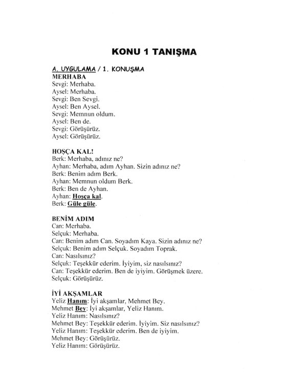 Современный турецкий язык: Практический курс. Начальный уровень A (А1 + А2). Ключи ко всем A