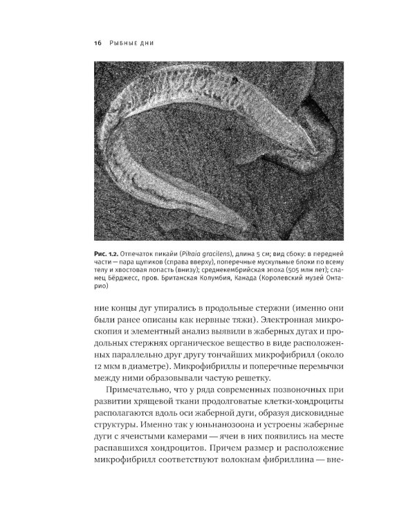 Как живые: Двуногие змеи, акулы-зомби и другие исчезнувшие животные