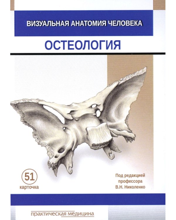 Визуальная анатомия человека. Остеология (карточки 51 шт.)