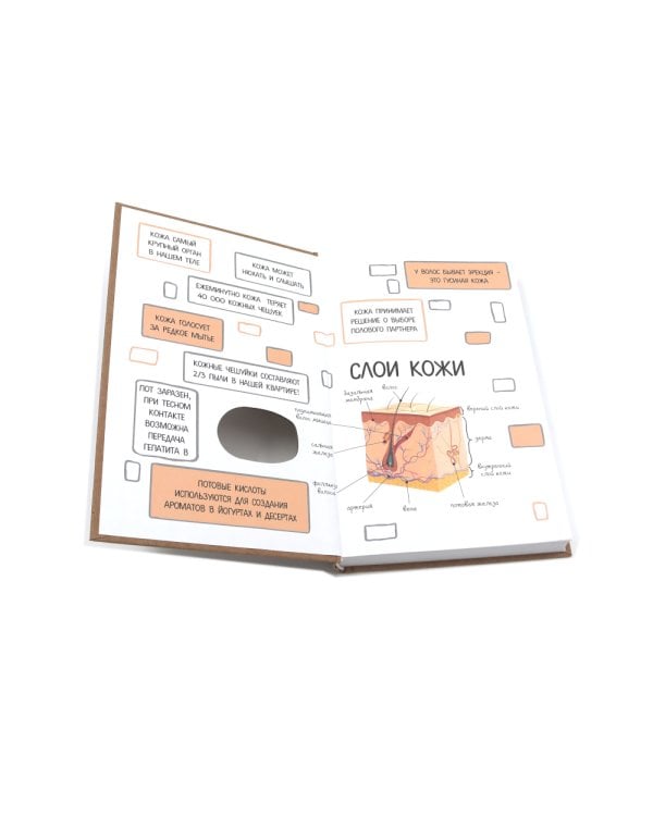 Очаровательный кишечник + Что скрывает кожа (комплект из 2-х книг)