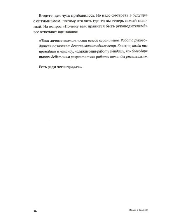 Мама, я тимлид! Практические советы по руководству IT-командой