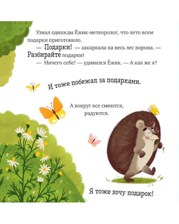 Приключения Ежика. Круглый год в лесу