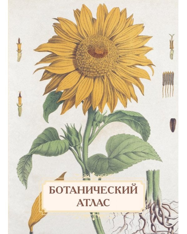 Ботанический атлас. Н.П. Животовский