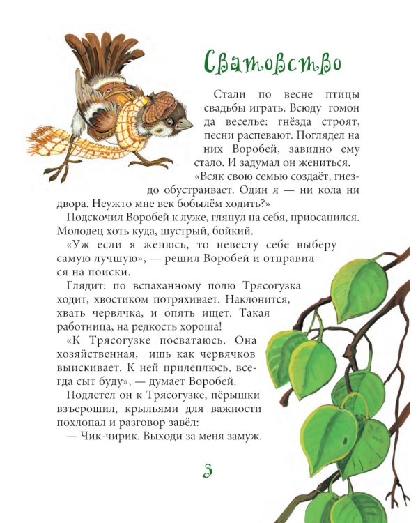 Лесные истории