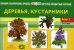 Картотека предметных картинок. Вып. 2. Деревья, кустарники. 3-7 лет