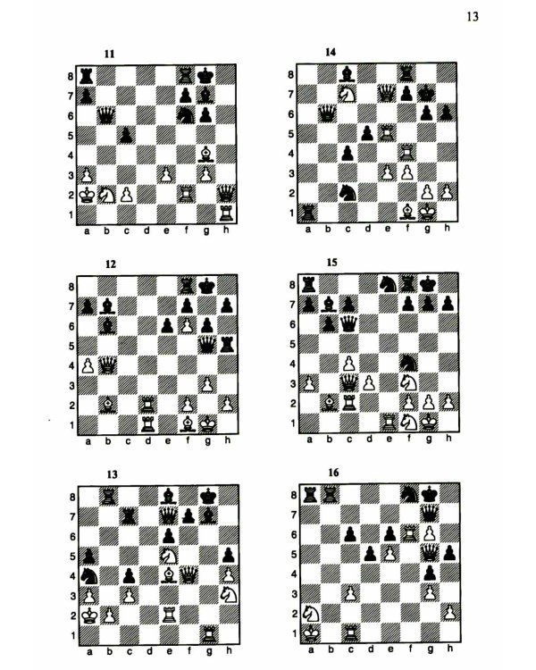 1200 шахматных комбинаций. (Секреты шахмат)