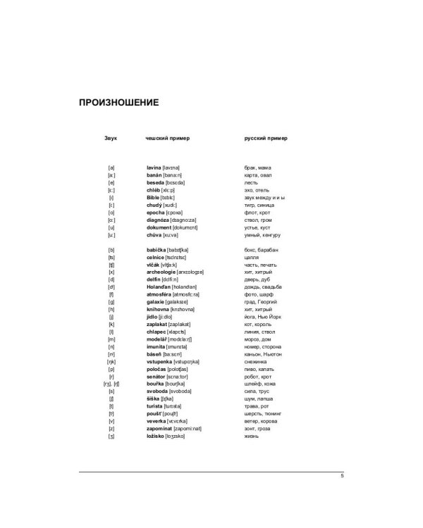 Русско-чешский разговорник. Самые нужные фразы. Мини-словарь. 250 слов