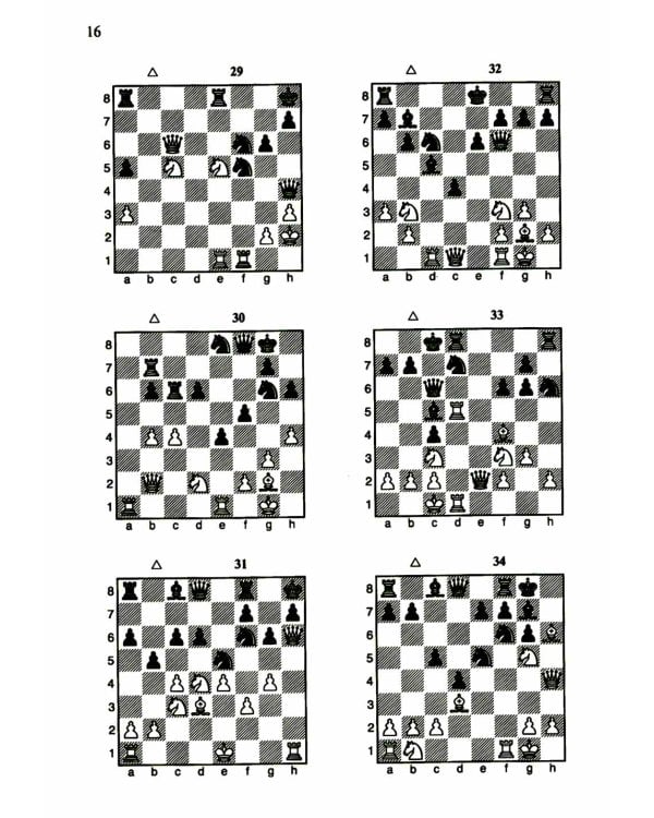 1200 шахматных комбинаций. (Секреты шахмат)