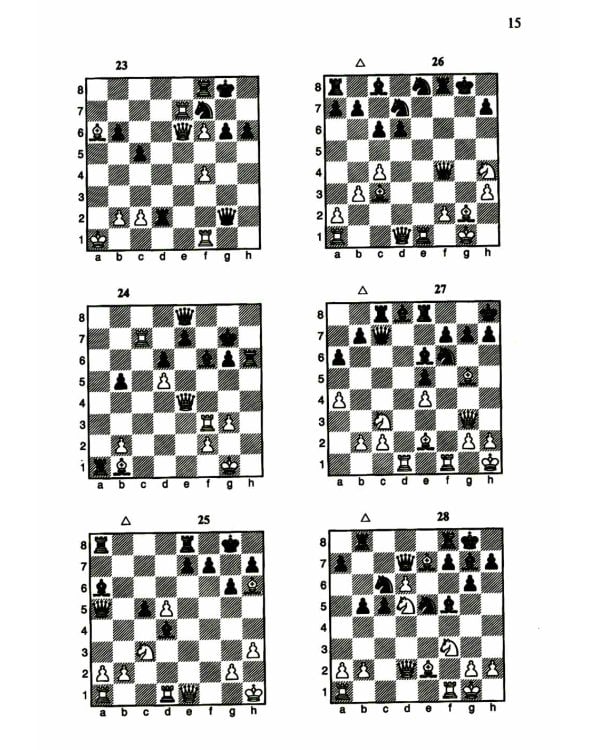 1200 шахматных комбинаций. (Секреты шахмат)