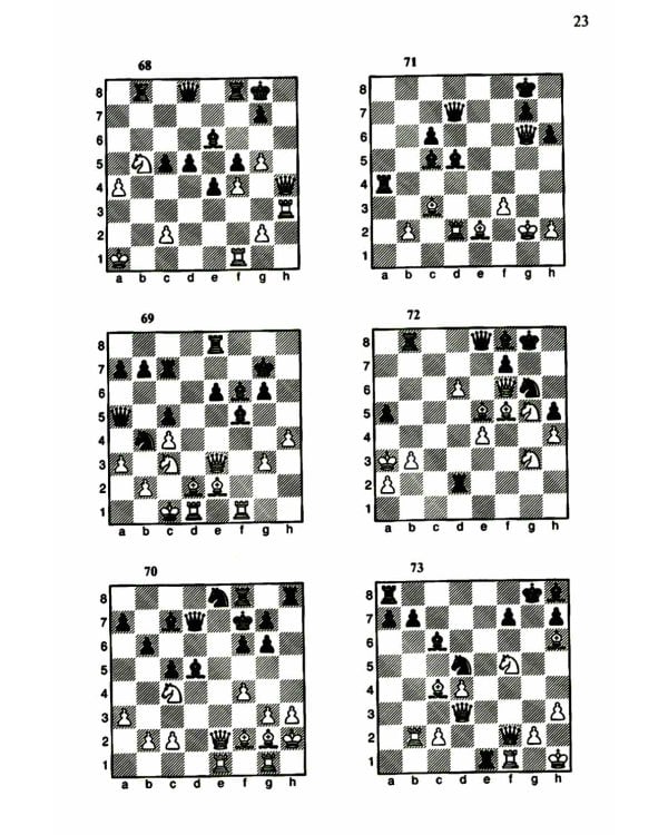 1200 шахматных комбинаций. (Секреты шахмат)