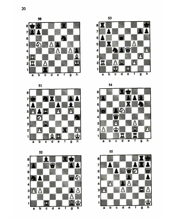 1200 шахматных комбинаций. (Секреты шахмат)