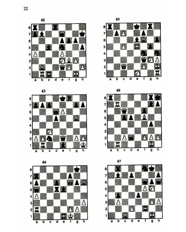 1200 шахматных комбинаций. (Секреты шахмат)