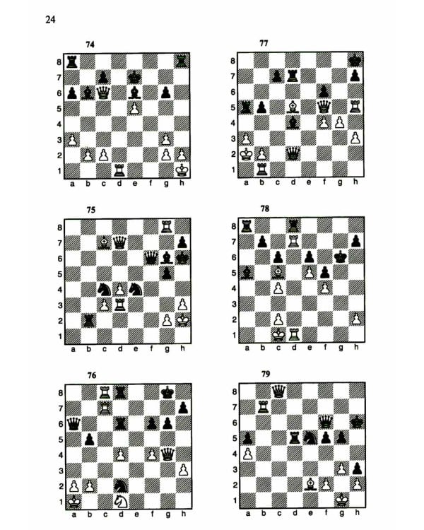 1200 шахматных комбинаций. (Секреты шахмат)