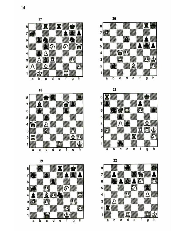 1200 шахматных комбинаций. (Секреты шахмат)