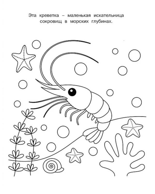 Милые очаровашки