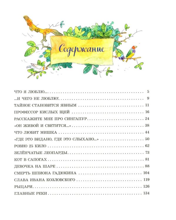 Девочка на шаре: рассказы