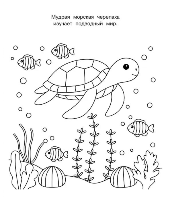 Милые очаровашки