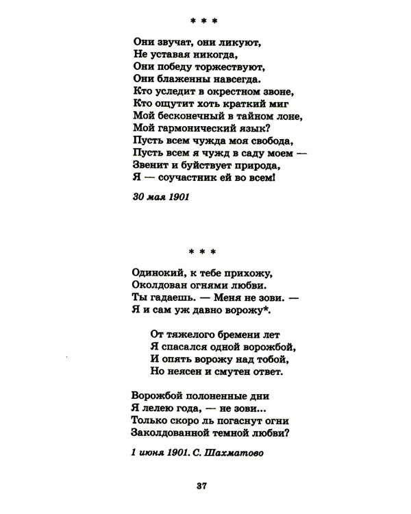 Я сердце вьюгой закрутил…: лирика