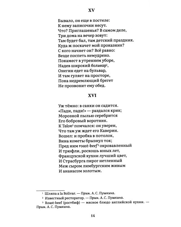 Евгений Онегин: роман в стихах