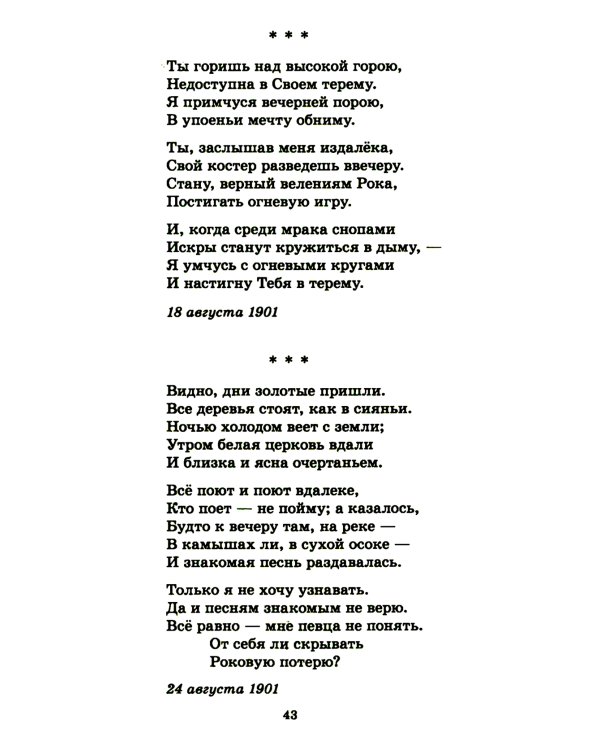 Я сердце вьюгой закрутил…: лирика