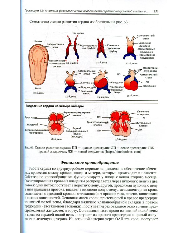 Детские болезни: Учебник для студентов медицинских вузов. Т. 2