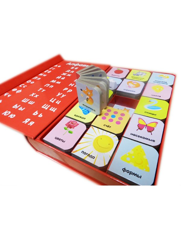 Мои первые слова. 15 книжек-кубиков. Русский язык