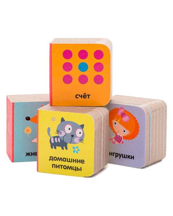 Мои первые слова. 15 книжек-кубиков. Русский язык