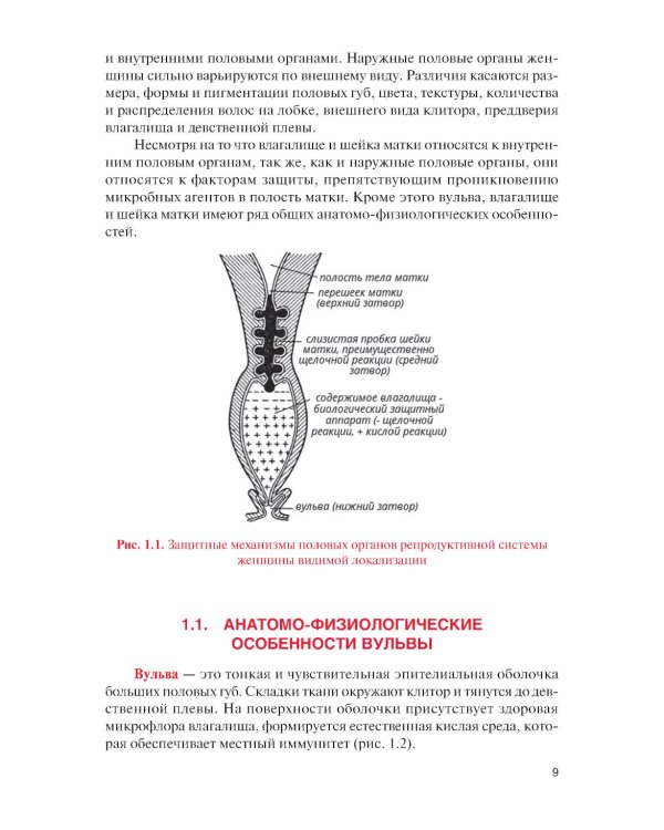 Норма и патология вульвы, влагалища и шейки матки: Учебник