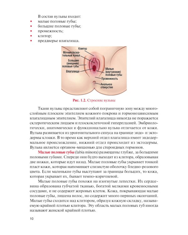 Норма и патология вульвы, влагалища и шейки матки: Учебник