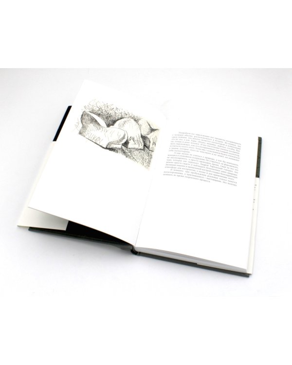 РУКАВодство по рукоприкладству