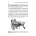Краткий курс оториноларингологии: Руководство для врачей