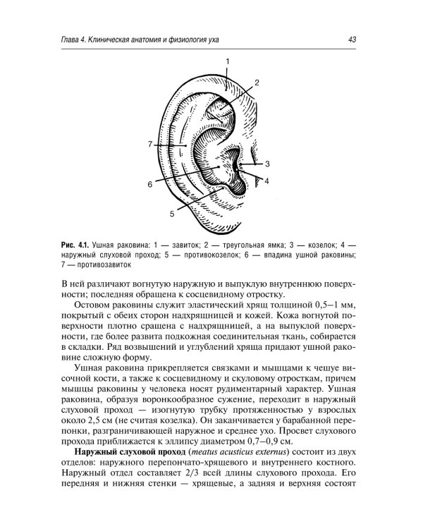 Краткий курс оториноларингологии: Руководство для врачей