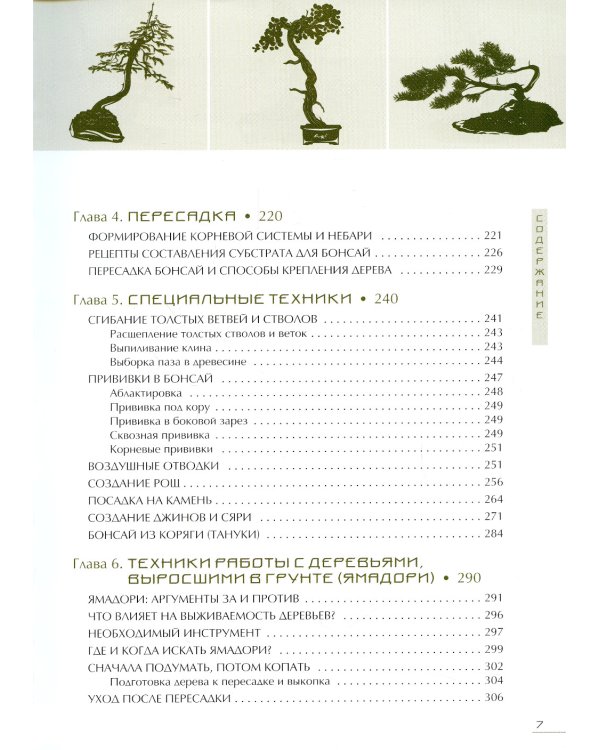 Бонсай. Маленькие деревья для большой радости. Как заниматься бонсай в климате средней полосы России, наслаждаясь процессом и результатом