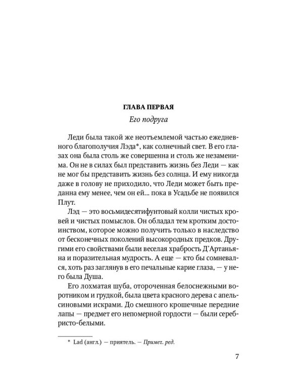 Лэд: повесть