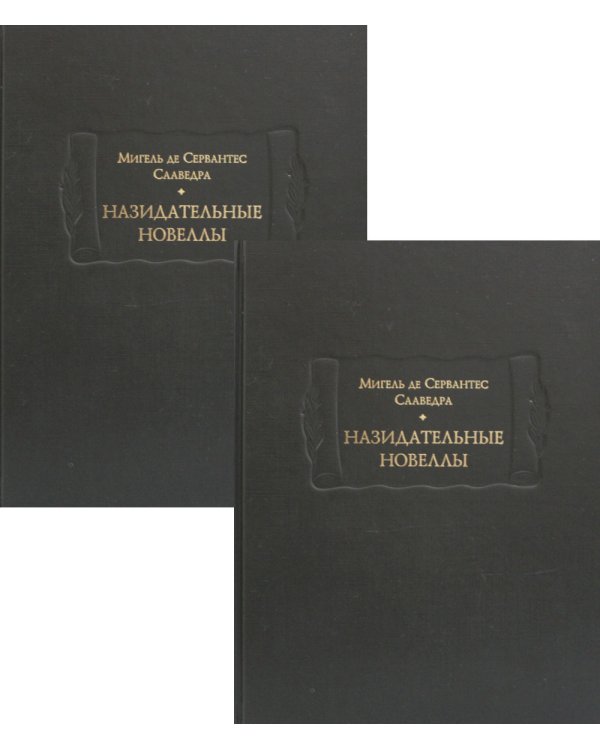 Назидательные новеллы. В 2 кн