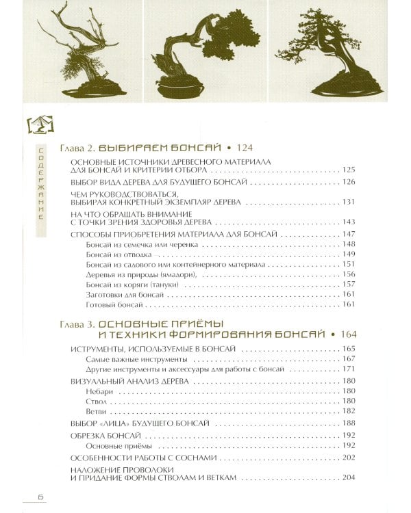 Бонсай. Маленькие деревья для большой радости. Как заниматься бонсай в климате средней полосы России, наслаждаясь процессом и результатом